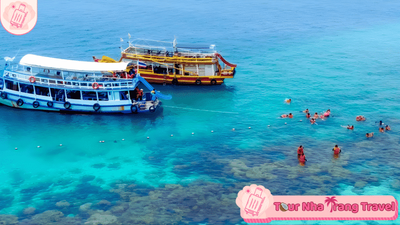 Tour 2 Đảo Hòn Mun – Mini Beach Cao Cấp 1 Ngày 6 Hon Mun Tour Dao Vip Hon Tam Hon Mun 2