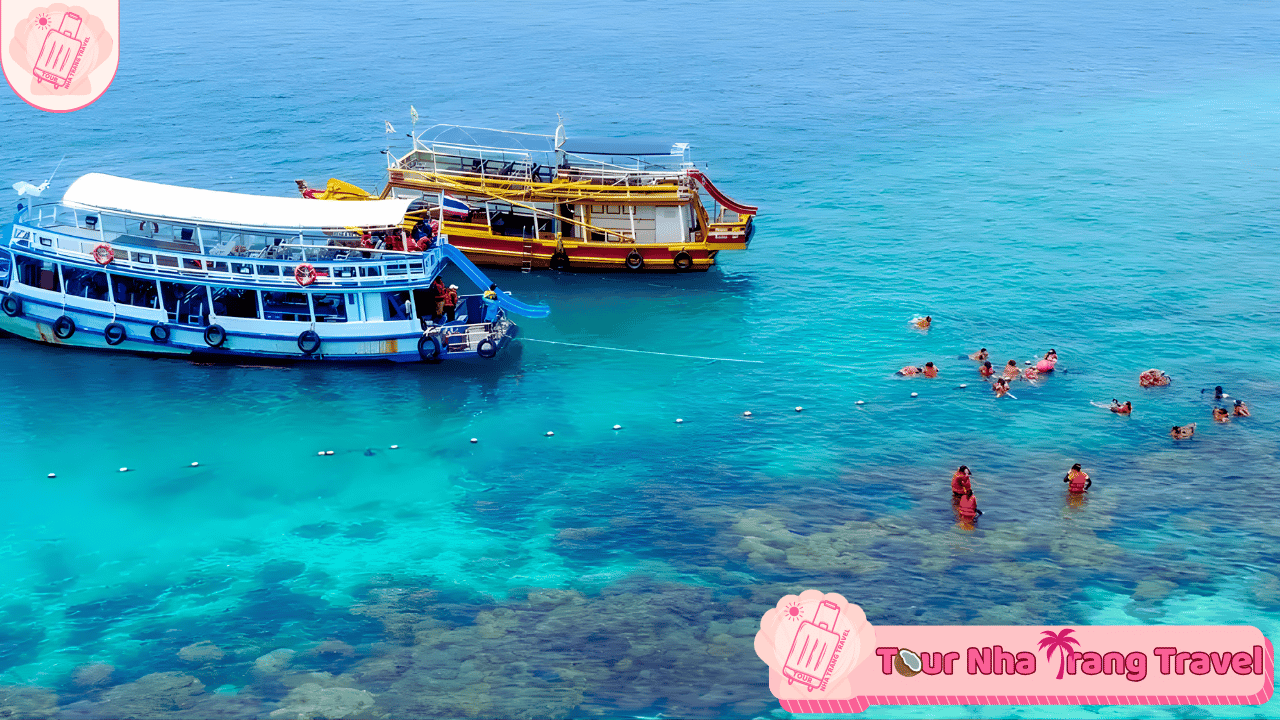 Tour 2 Đảo Hòn Mun – Mini Beach Cao Cấp 1 Ngày 12 Hòn Mun