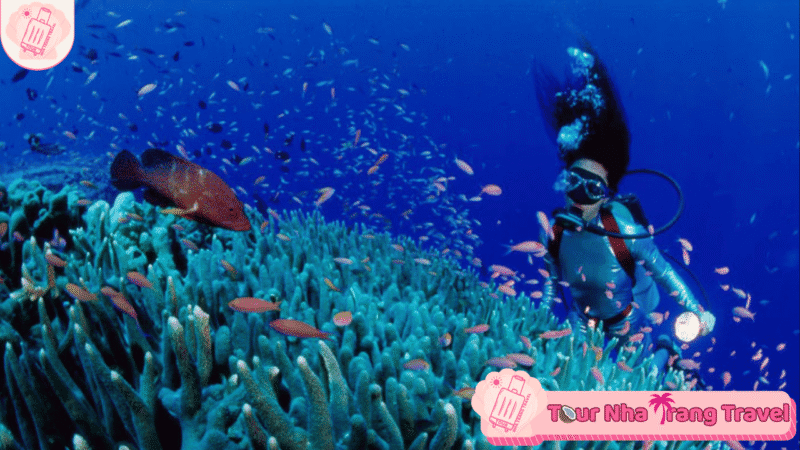 Tour Lan Bien Nha Trang Hon Mun Lang Chai Bai Tranh 4