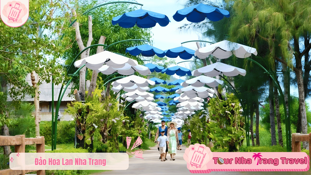Tour Đảo Khỉ Nha Trang 1 ngày | Ưu Đãi Trọn Gói 2026 13 Đảo Hoa Lan Nha Trang