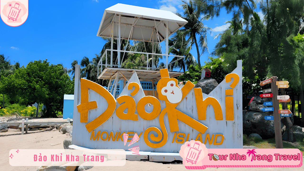 Tour Đảo Khỉ Nha Trang 1 ngày | Ưu Đãi Trọn Gói 2026 12 Tour Đảo Khỉ Nha Trang