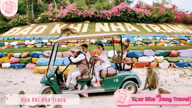 Tour Đảo Khỉ Nha Trang 1 ngày | Ưu Đãi Trọn Gói 2026 7 Dao Khi Nha Trang