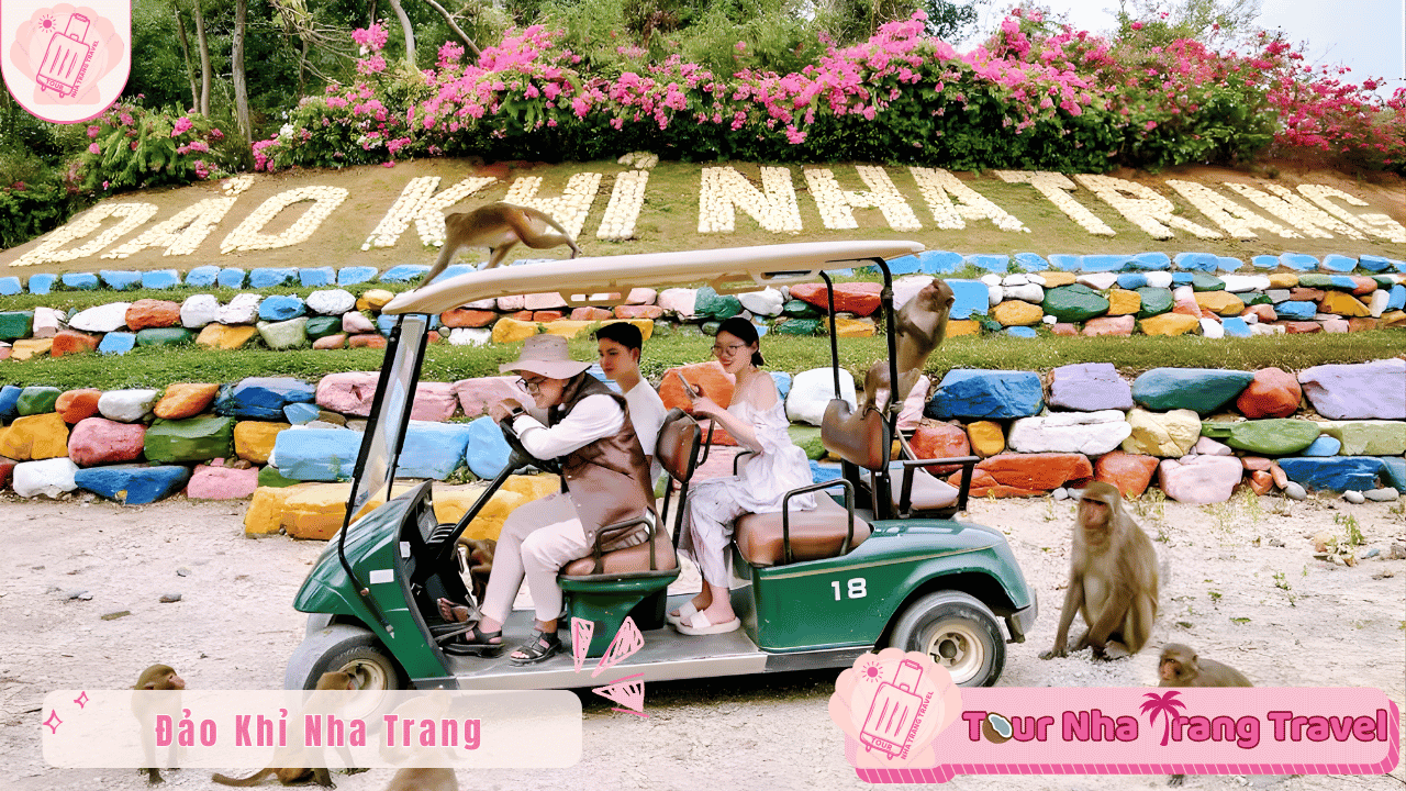 Tour Đảo Khỉ Nha Trang 1 ngày | Ưu Đãi Trọn Gói 2026 11 Đảo Khỉ Nha Trang