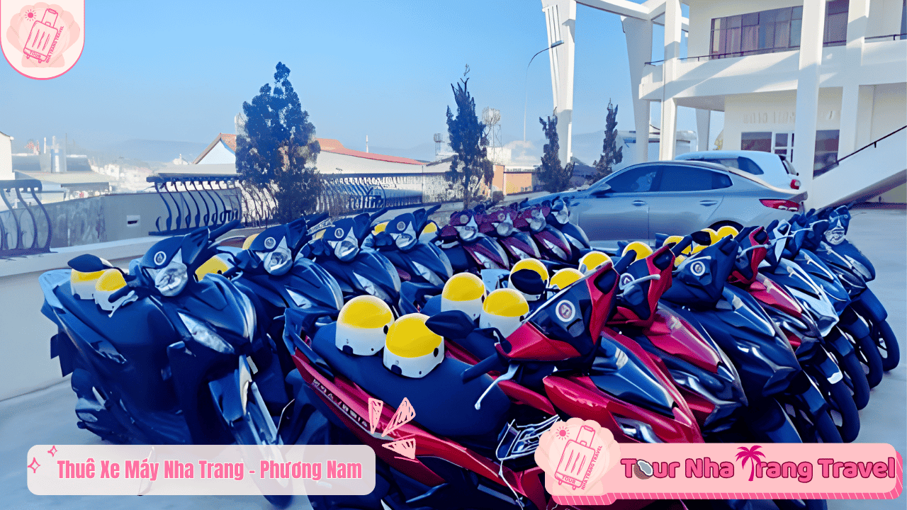#15 Địa Điểm Thuê Xe Máy Nha Trang Xe Mới – Giá Tốt 2026 30 Thuê Xe Máy Nha Trang Phương Nam
