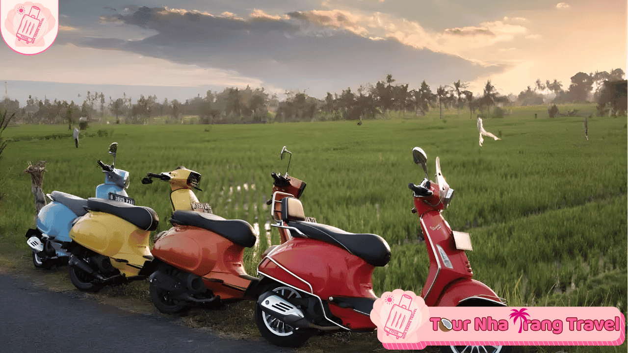 #15 Địa Điểm Thuê Xe Máy Nha Trang Xe Mới – Giá Tốt 2026 32 Thuê xe máy Nha Trang