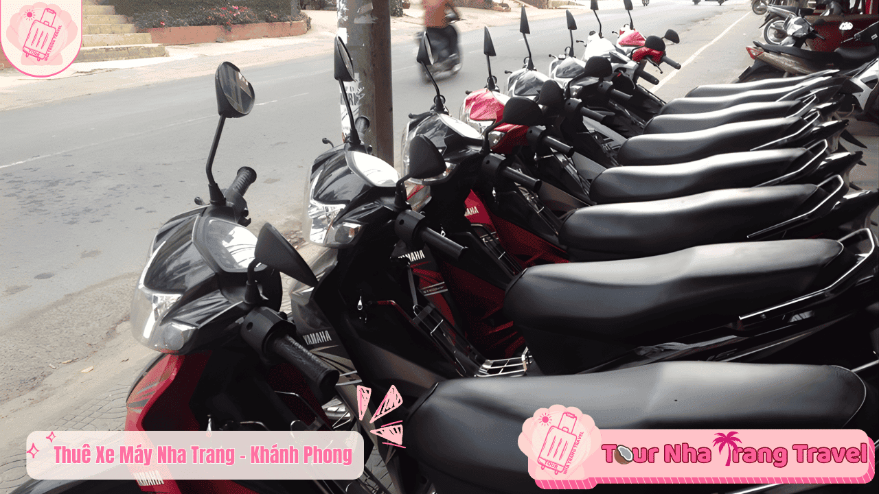 #15 Địa Điểm Thuê Xe Máy Nha Trang Xe Mới – Giá Tốt 2026 31 Thuê xe máy Nha Trang Khánh Phong