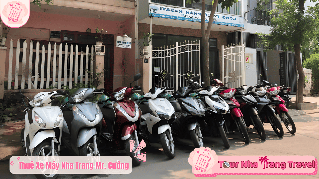 #15 Địa Điểm Thuê Xe Máy Nha Trang Xe Mới – Giá Tốt 2026 26 Thuê xe máy Nha Trang - Mr. Cường
