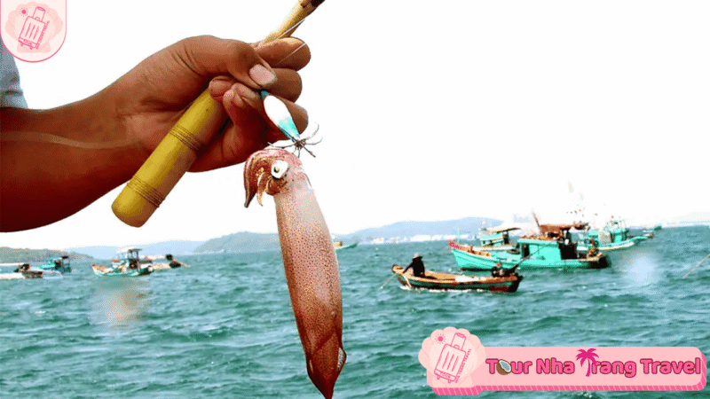 Tour Cau Muc Dem Nha Trang 2