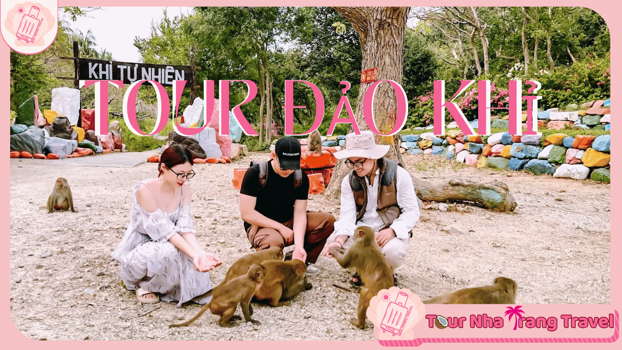 Tour Đảo Khỉ Nha Trang 1 ngày | Ưu Đãi Trọn Gói 2026 10 Tour Đảo Khỉ Nha Trang