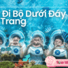 Tour đi bộ dưới đáy biển Nha Trang