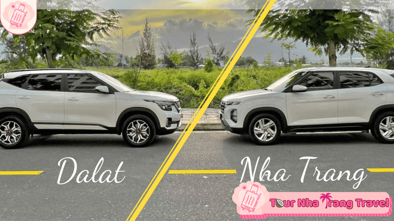 Thuê Xe 7 Chỗ Nha Trang - Bảng Giá Tốt Nhất 2026 4 Thuê Xe 7 Chỗ Nha Trang