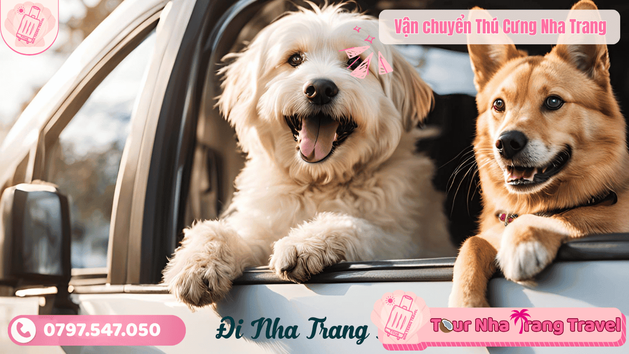Vận chuyển Thú Cưng Nha Trang