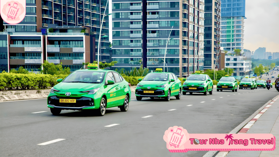 Taxi Mai Linh Đơn Dương